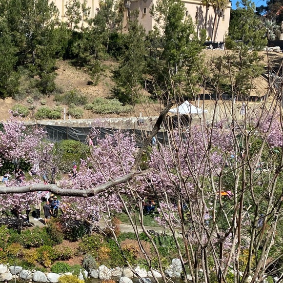 Meet your Posher, Rocio - Picture 1 of 1